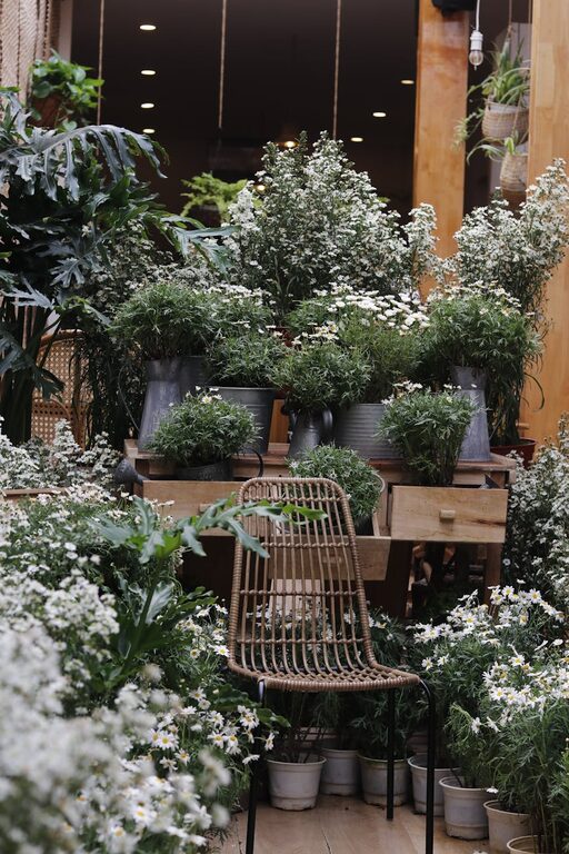 Tips for Creating a Relaxing Home Garden Space